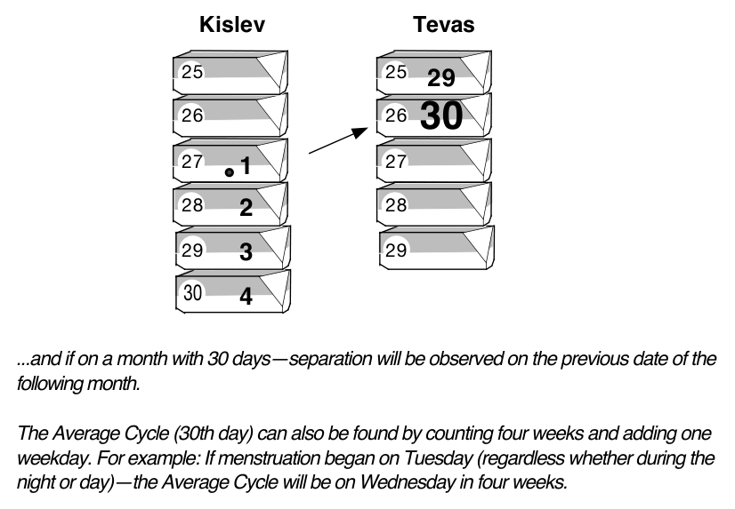 Diagram of the Average (30 day) Cycle in a month of 30 days: separation is observed on the previous date of the following month. The 30th day can also be found by counting four weeks and adding one weekday.