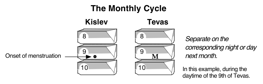 Diagram of the Monthly Cycle: menstruation began on the 9th of Kislev, so the couple separates on the corresponding night or day of the 9th of Tevas; in this example, during the daytime of the 9th of Tevas.